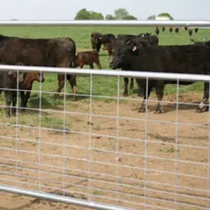 import placeholder for 1366