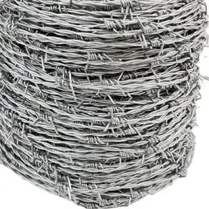 import placeholder for 1243