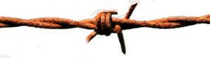 stock fence rusted barbed wire - Stock Fence Australia | High Quality - Hot Dip Gal Cattle Station Fencing Stock Fence Rusted Barbed Wire